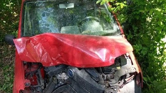 Włodawa. Zasnął za kierownicą, rozbił się na drzewie