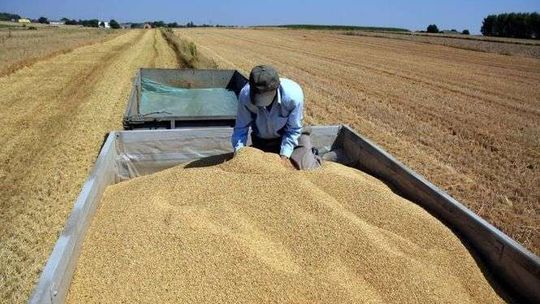 Wnioski o dopłaty dla rolników tylko elektronicznie