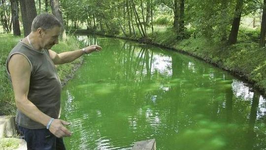 Woda pełna chemikaliów płynęła w Zielonej Górze