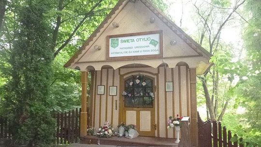 Woda ze źródełka w Urzędowie z bakteriami coli. Po wypiciu możliwe nudności