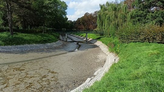 Woda zniknęła z parkowego stawu. Co się stało?