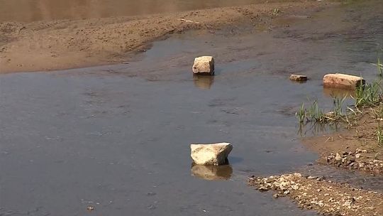 „Wodę musimy na wszelkie sposoby oszczędzać”. Susza w Polsce, problem będzie się nasilał