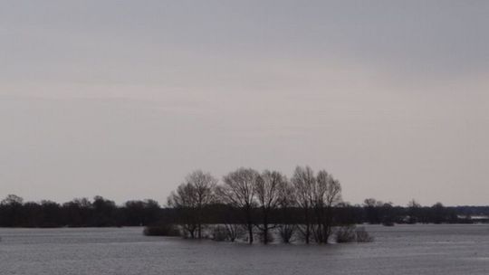 Wody coraz wiecej. Alarm przeciwpowodziowy na Wieprzu i Bugu