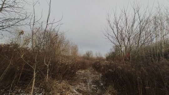 Wojewoda idzie do NSA z górkami czechowskimi. Komentarze Ratusza i TBV