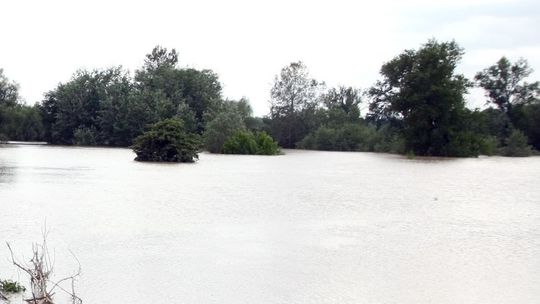 Wojewoda lubelski ogłosił pogotowie przeciwpowodziowe
