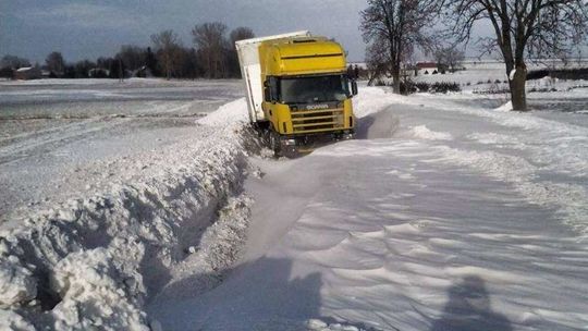 Wojewoda lubelski zwołuje sztab kryzysowy. Opracuje plan działania na „Bestię ze Wschodu”