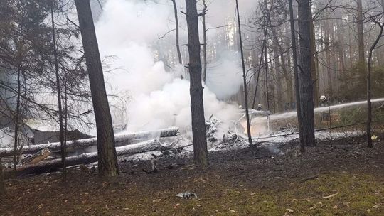Wojskowy MiG-29 rozbił się na Mazowszu. Pilot się katapultował