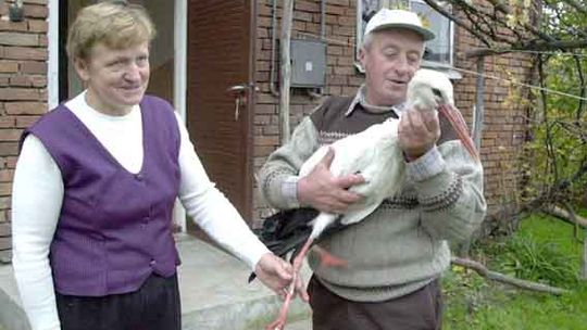 Wojtek, który nie lubi latać