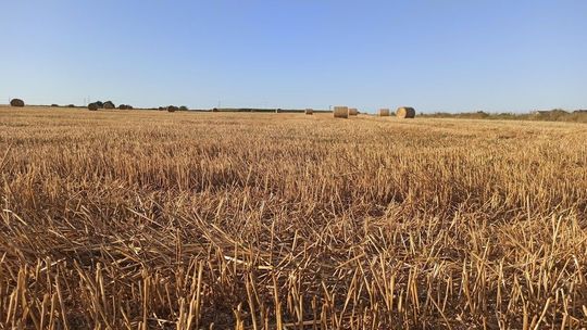 Wójtowie muszą zwrócić pieniądze za spis rolny, ale tylko te, które mieli wypłacić sobie