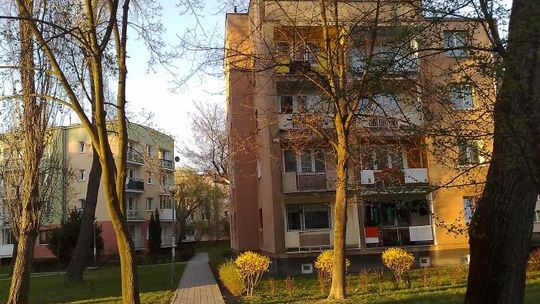Wolimy wynajmować zamiast kupować mieszkania