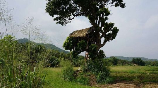 Wolisz dzikość przyrody czy zapach orientu? Zobacz, jakie kierunki wakacyjne warto uwzględnić w swoich planach