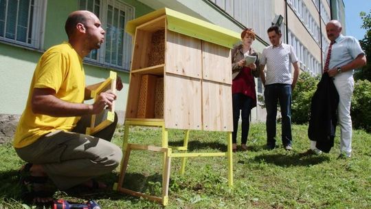 Wolne pokoje dla pszczół i trzmieli. Hotele stanęły w Lublinie