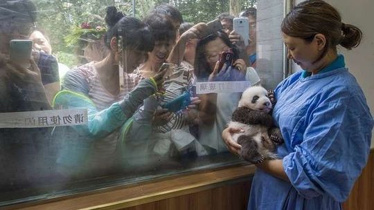 World Press Photo 2017. Zobacz nagrodzone zdjęcia