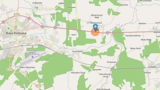 Woskrzenice Duże: W wypadku zginął 18-letni kierowca