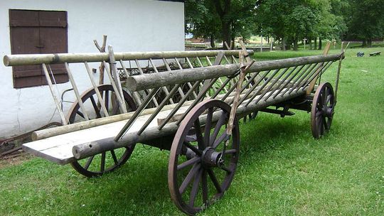 Wozem po Polesiu Zachodnim. Kto będzie pasażerem? 