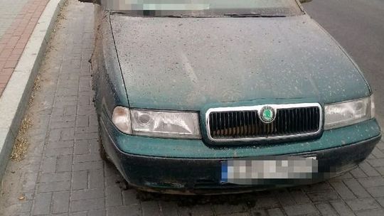 Wpadła na jeździe po pijanemu. Alkohol ukradła dzień wcześniej