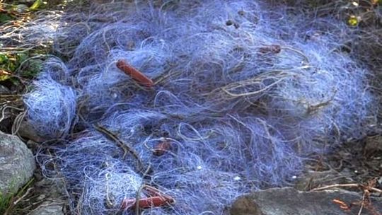 Wpadli podczas rozstawiania sieci na Wiśle