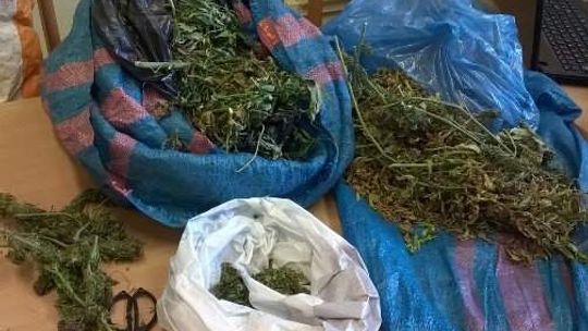 Wpadli z kilogramem marihuany