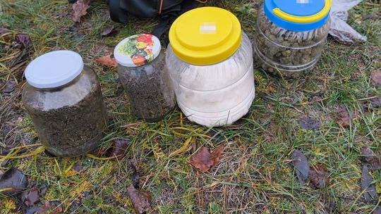 Wpadli z narkotykami wartymi tysiące złotych. Dwaj mieszkańcy powiatu włodawskiego aresztowani