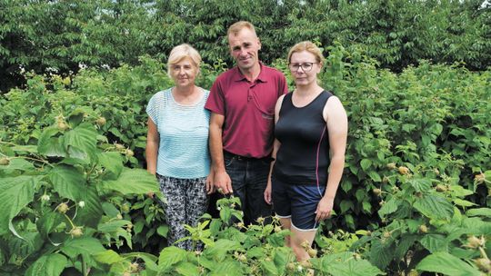 Wpuszczeni w maliny jadą protestować. Rolnicy z Lubelskiego zapowiadają najazd na Warszawę