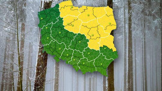 Wraca zima. Jest pierwsze ostrzeżenie IMGW