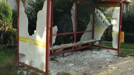 Wracał od znajomych i wybijał pałką teleskopową szyby na przystankach i w koparkach