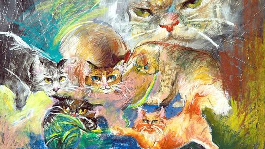 Wręczą nagrody  za \"Kocie sprawy”