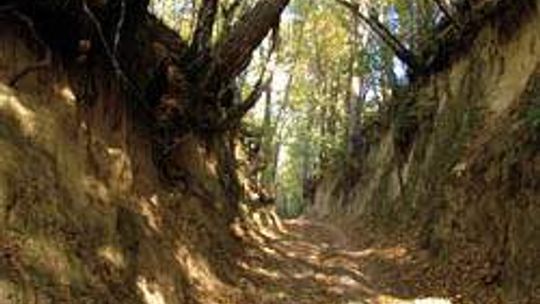 Wrzelowiecki Park Krajobrazowy (nr 51) - 0 głosów