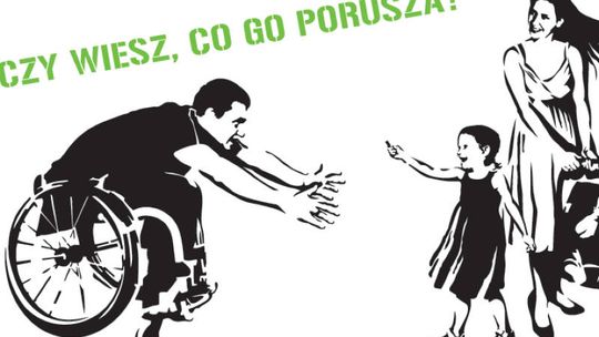 Wspólne malowanie w Zamościu