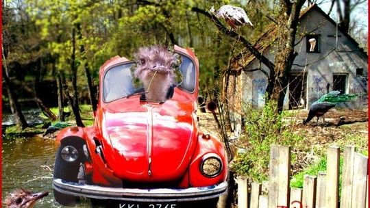 Wspomnienie Daniela de Tramecourta. Książka kucharska dla malarzy