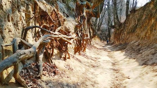 Wstęp do Korzeniowego Dołu w Kazimierzu Dolnym będzie płatny?