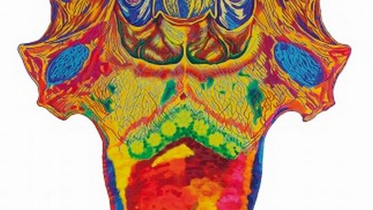 \"Wszędzie jest wszędzie” Zuzy Ziółkowskiej