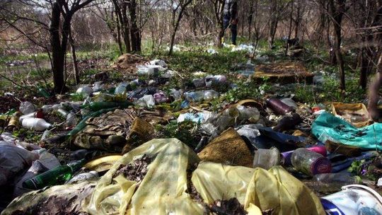 Wszyscy płacimy za brudasów. Pełno nielegalnych wysypisk