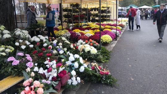 Wszystkich Świętych 2019. Jakie są ceny w tym roku, co kupujemy najchętniej?