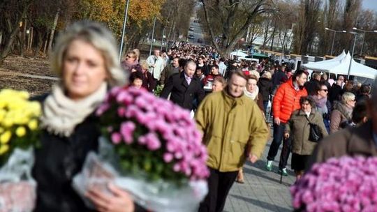 Wszystkich Świętych na drogach: Na razie jest spokojnie