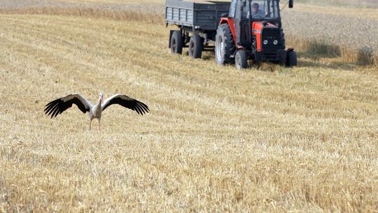 Wybieramy Rolnika Roku 2013. Na zwycięzcę czeka 10 tysięcy złotych