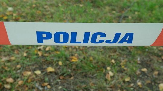 Wybrał się na grzyby do lasu w Puławach. Znalazł tam ciało