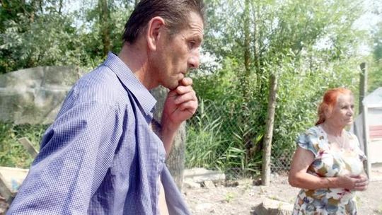 Wyciął topole bo ratował matkę: Urzędnicy wrócą do sprawy