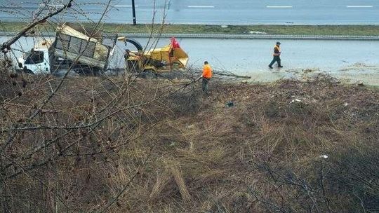 Wycięli ponad 50 drzew, postawią tu budynek. Mieszkańcy oburzeni: "To była enklawa zieleni!"