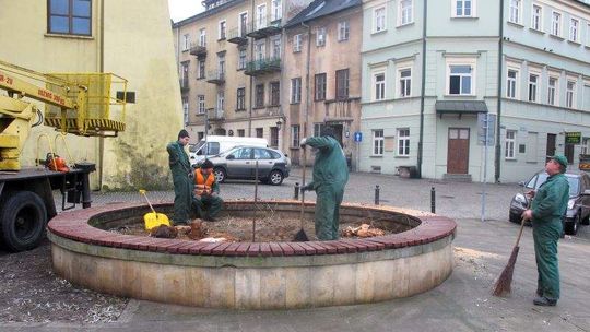 Wycięli starą wierzbę z pl. Rybnego. "Nie było dla niej szans. Posadzimy nowe drzewa"