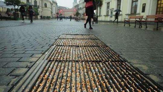 Wycieraczka z petami na deptaku, dziwna szklarnia koło CK. 16 nietypowych instalacji w Lublinie