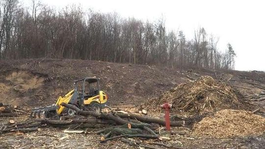 Wycinają 1,7 tys. drzew. Przebudowa skrzyżowania al. Solidarności z ul. Ducha
