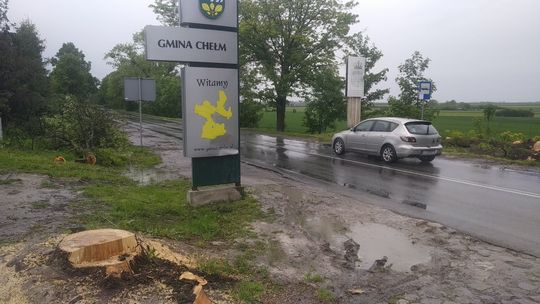 Wycinają 102 drzewa, żeby zbudować 3 km ścieżki rowerowej