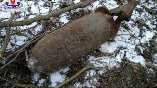 Wycinali drzewa w lesie, znaleźli bombę z II wojny światowej