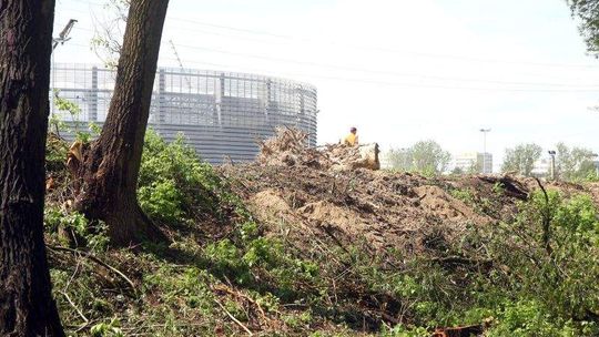 Wycinka drzew w parku do prokuratury. Ratusz: Otworzymy stadion zgodnie z planem (wideo)
