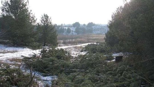 Wydał pół miliona na dawną kopalnię piachu. Liczył na zyski, a ma duży problem