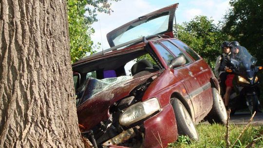 Wygodna: Pijany kierowca wbił się w drzewo