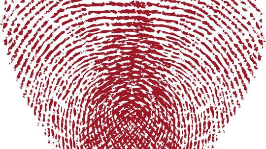 Wygraj kolację dla dwojga w hotelu Europa lub zdjęcie na telebimie