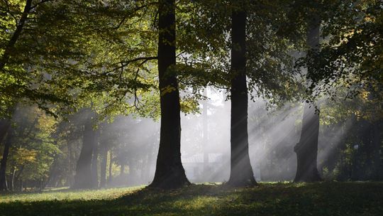 Wygrali milion za szczepienia na Covid-19. A teraz jest spór o to, jak go wydać