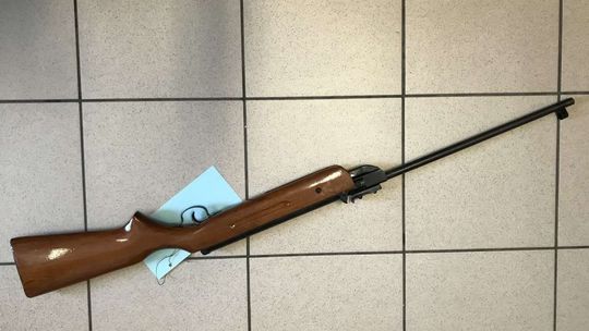 Wyjął wiatrówkę i zaczął strzelać do gołębi swojego sąsiada. Miał niecodzienne tłumaczenie 